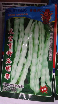 豆角本店批发农作物种子 生菜 茄子 韭菜 西葫芦 辣椒 红辣椒 木耳菜 荆芥 苦瓜 茼蒿 苋菜 生菜 油菜上海青花菜